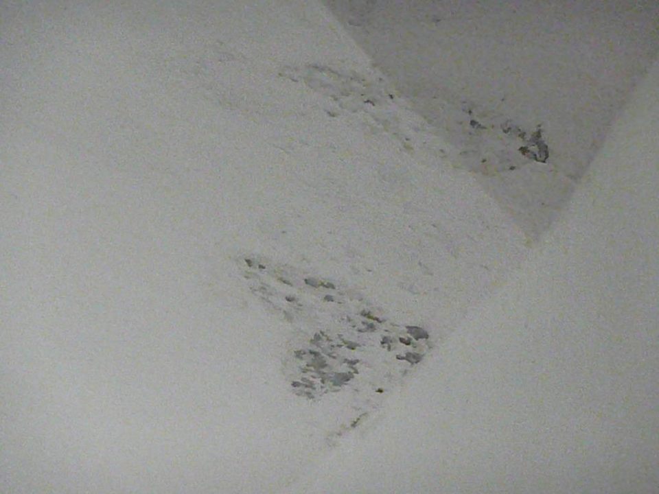 Schimmelpilz an der Decke BelleVue Dominican Bay