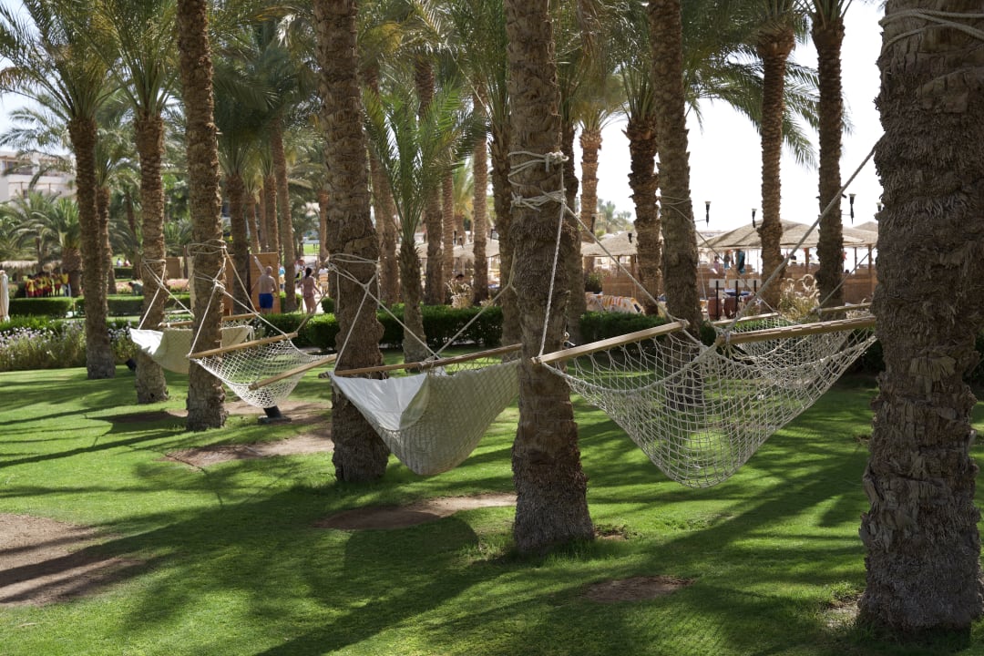 Gartenanlage Fort Arabesque Resort, Spa & Villas