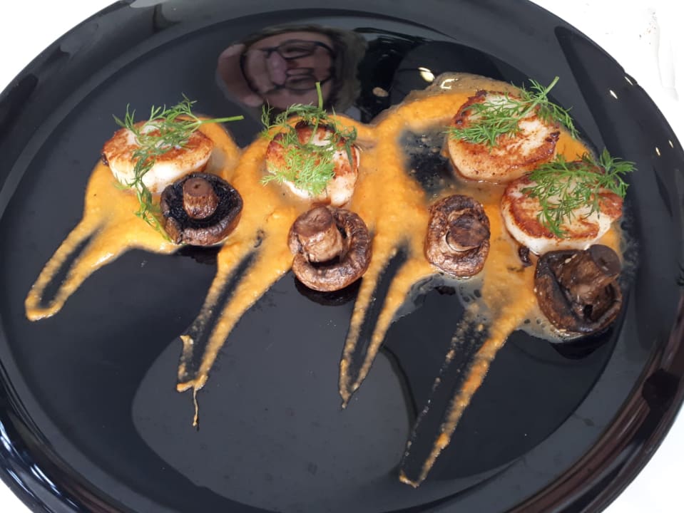 Gastro TUI MAGIC LIFE Beldibi +16