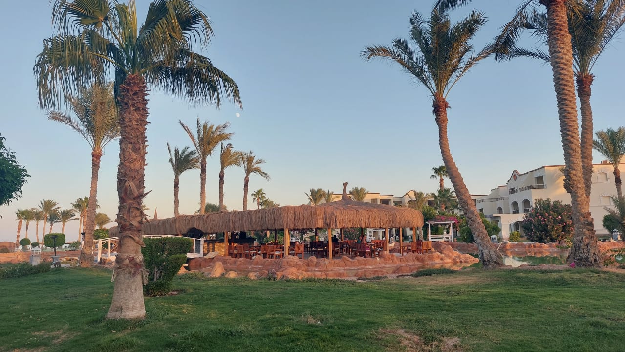 Gartenanlage Regency Plaza Aqua Park & Spa