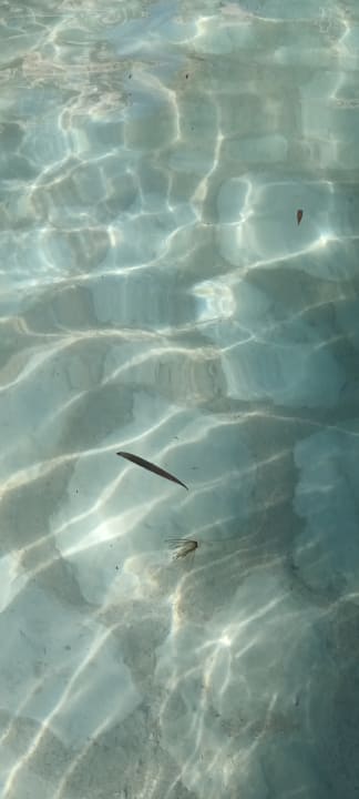 Pool Makadi Palace