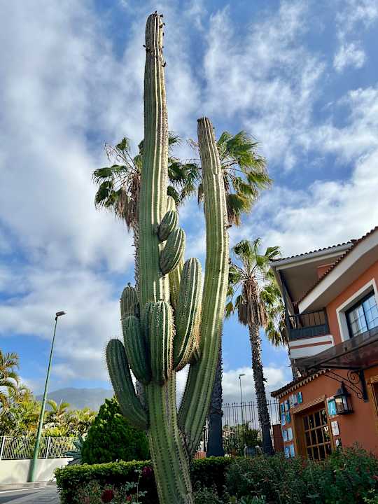 Außenansicht Apartments Ambassador