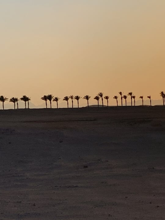Ausblick Baron Palace Sahl Hasheesh