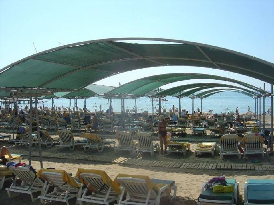 Strandliegen Papillon Ayscha