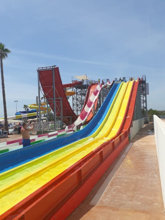 Sport & Freizeit Globales Bouganvilla