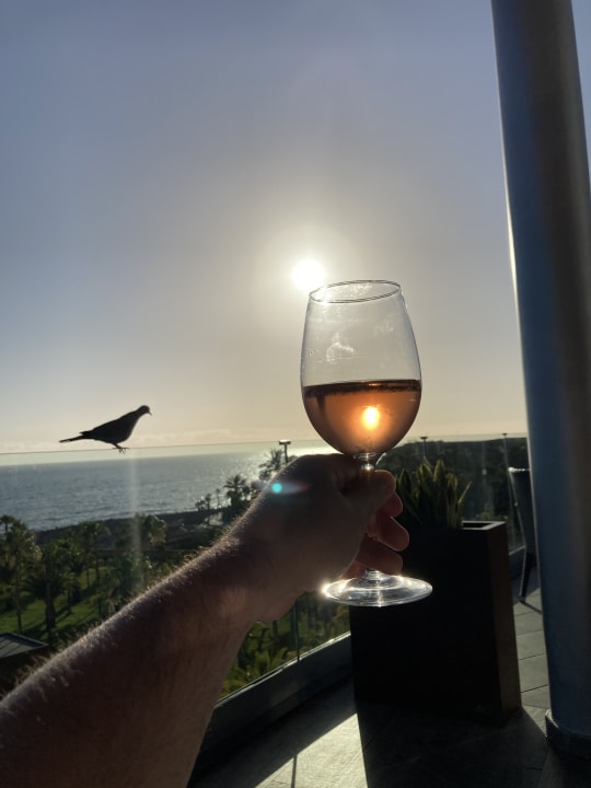 Ausblick Hotel Riu Palace Tenerife