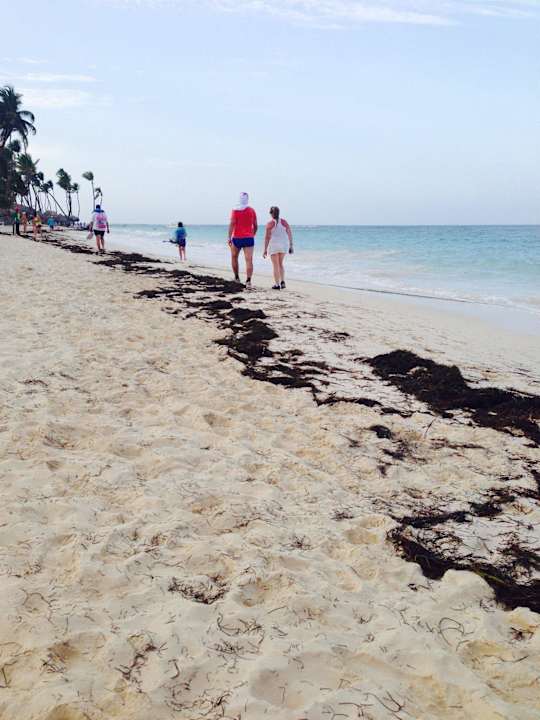 Dreck am Strand  Punta Cana Princess All Suites Resort & Spa