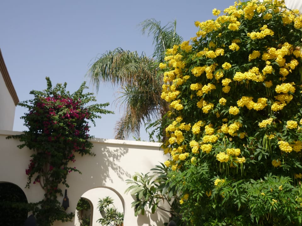 Gartenanlage Ghazala Gardens