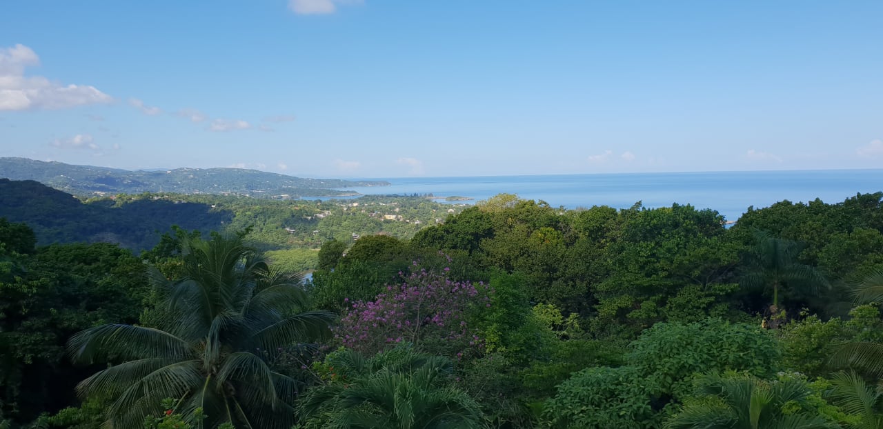 Ausblick Hotel Mockingbird Hill