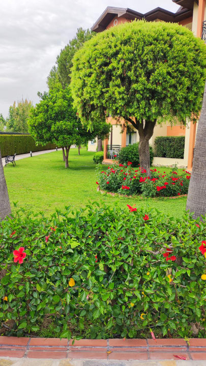 Gartenanlage Miramare Queen Hotel