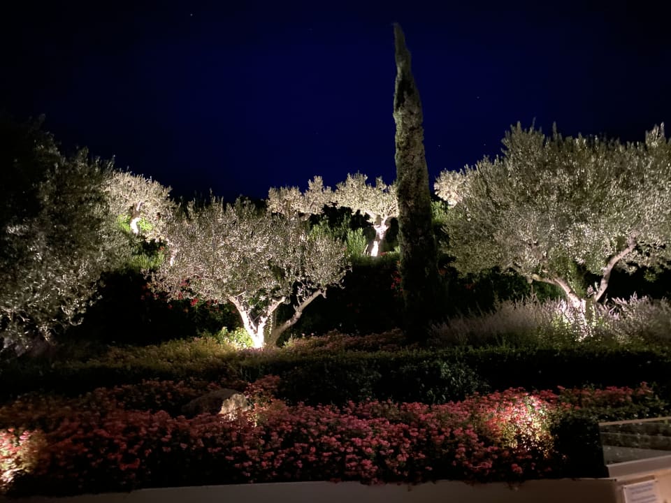 Gartenanlage Ikos Oceania