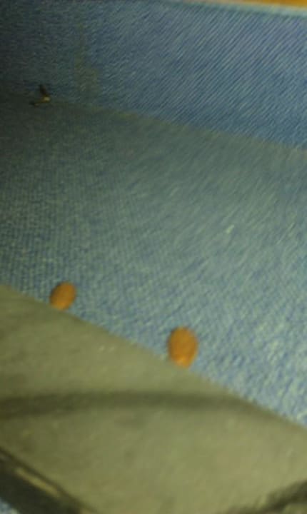 Unter dem Bett Hotel Europa Kehl