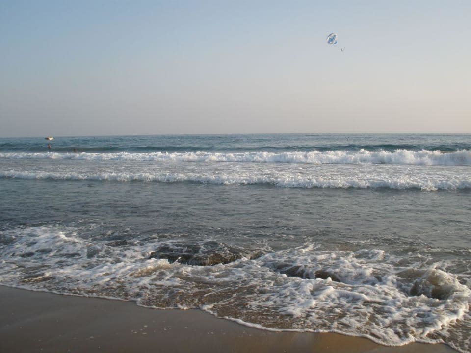 Blick auf das Meer Hotel Orfeus Park