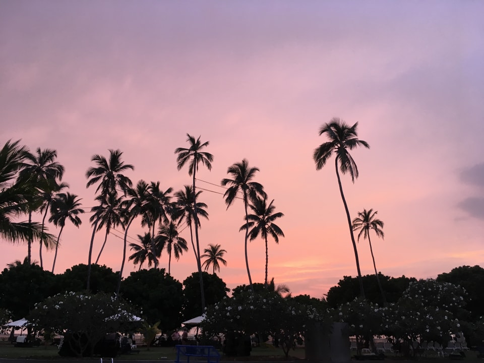 Gartenanlage Turyaa Kalutara