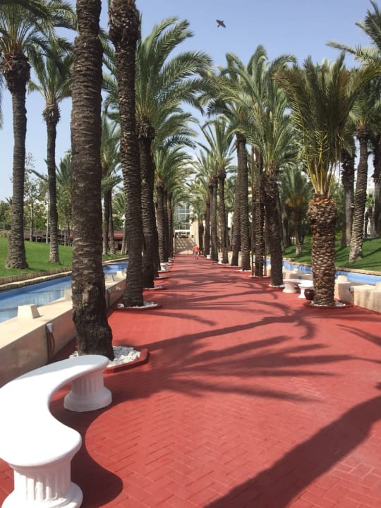 Gartenanlage Monachus Family Resort Sorgun