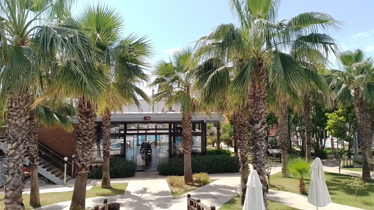 Gartenanlage Saturn Palace Resort Hotel