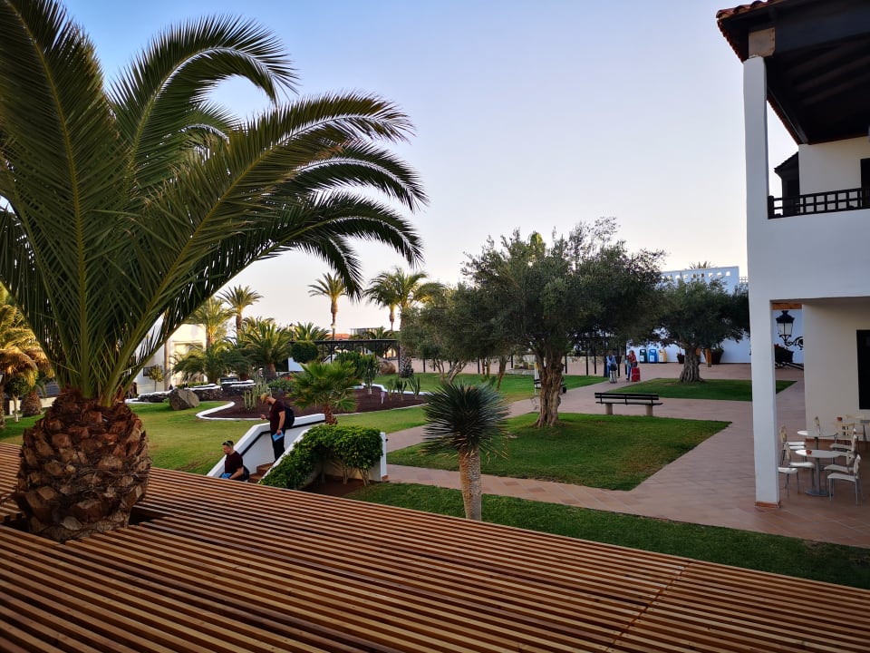 Ausblick TUI MAGIC LIFE Fuerteventura