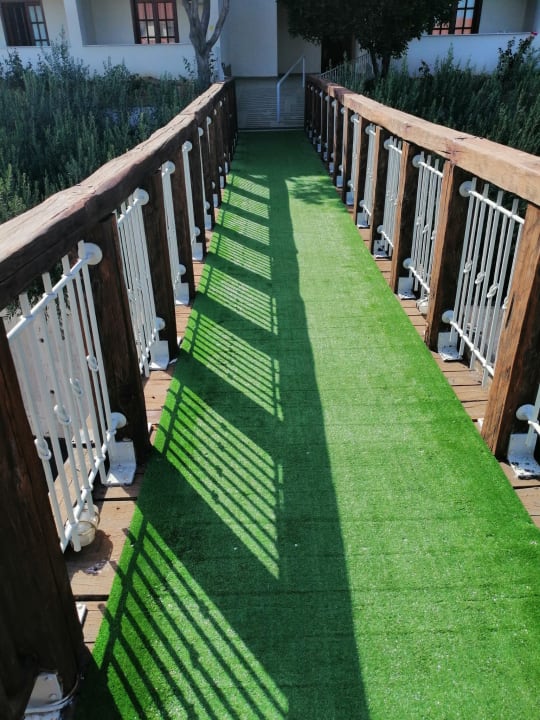 Gartenanlage Akrathos Beach Hotel