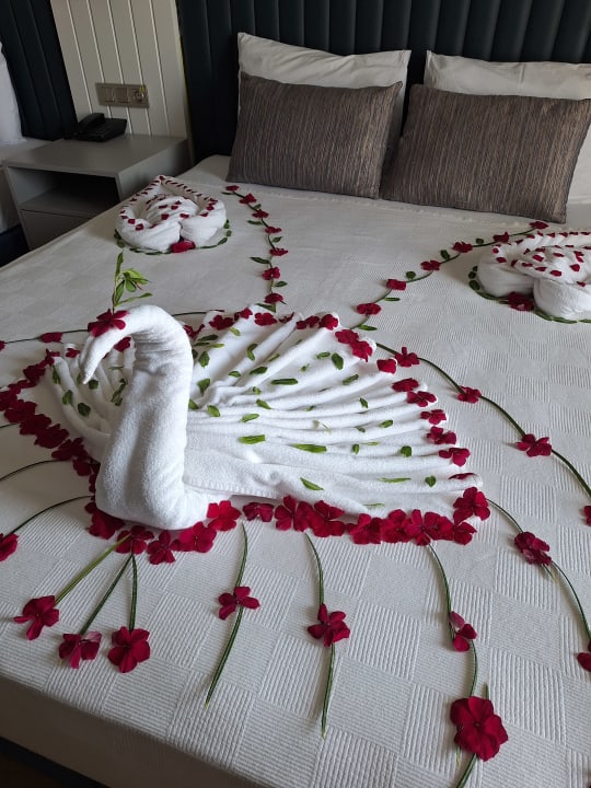 Zimmer Dream Fun World