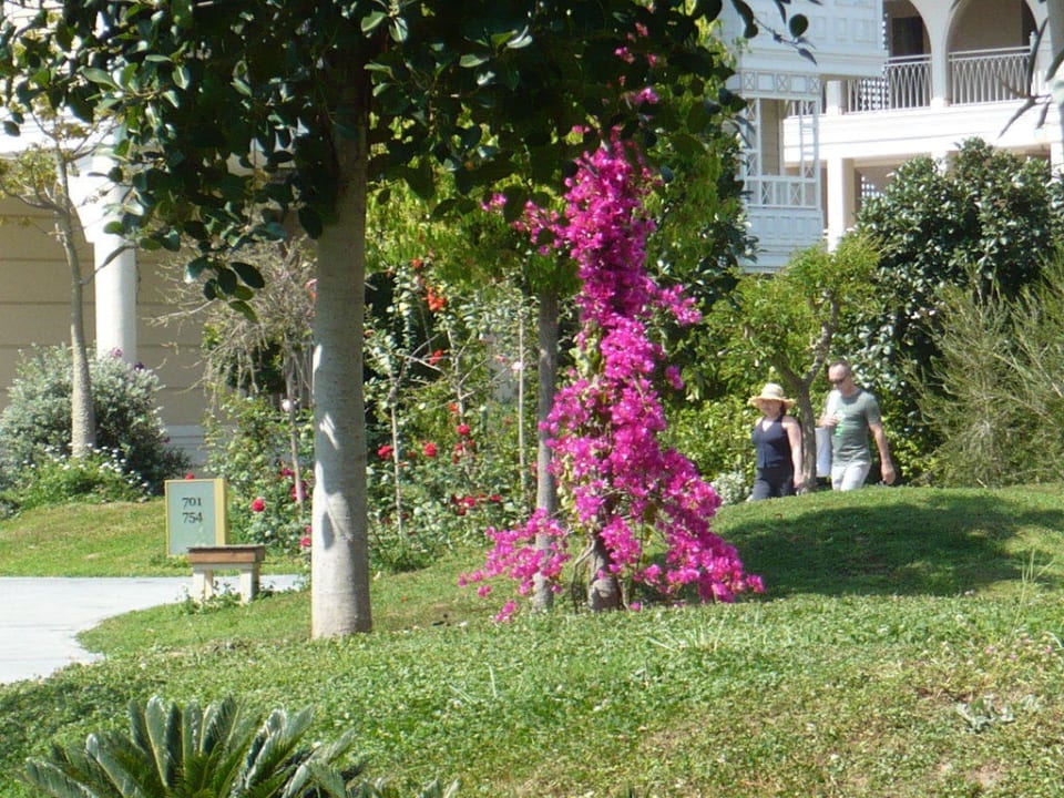 Hier wurden die schönen Photos gemacht Ali Bey Resort Sorgun