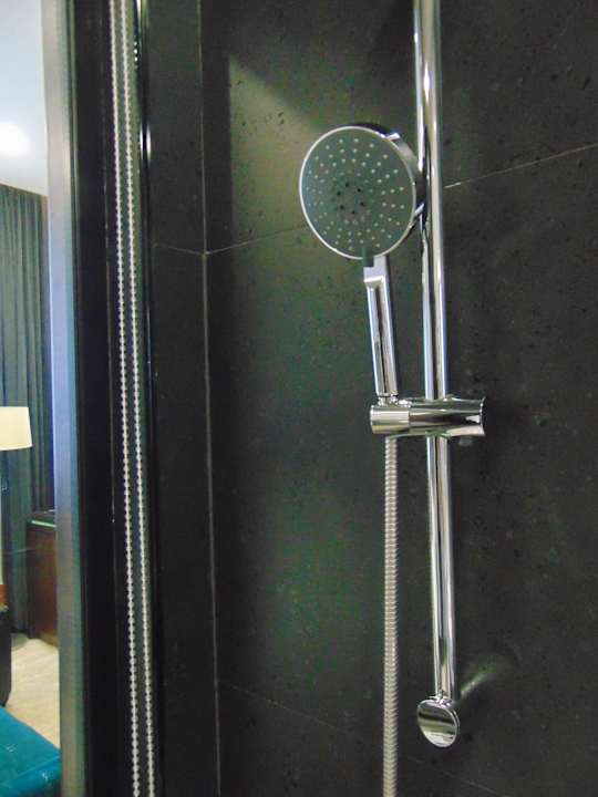 Zimmer Wyndham Garden Tashkent