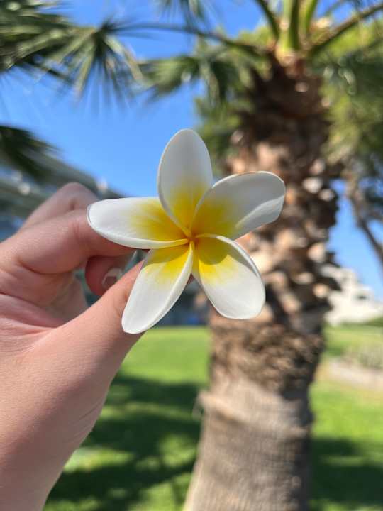 Gartenanlage Rodos Princess Beach Hotel & Spa