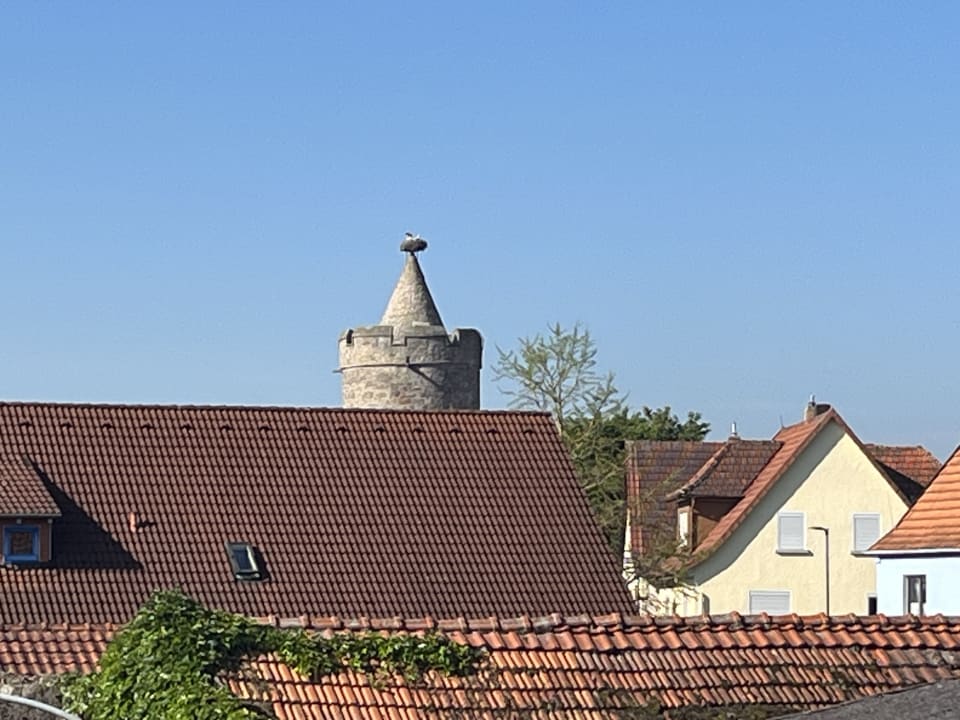 Ausblick Hotel Klingelhöffer