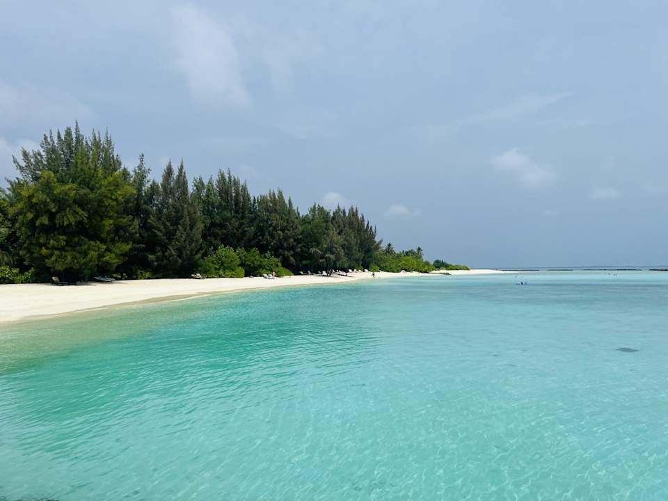 Strand Summer Island Maldives
