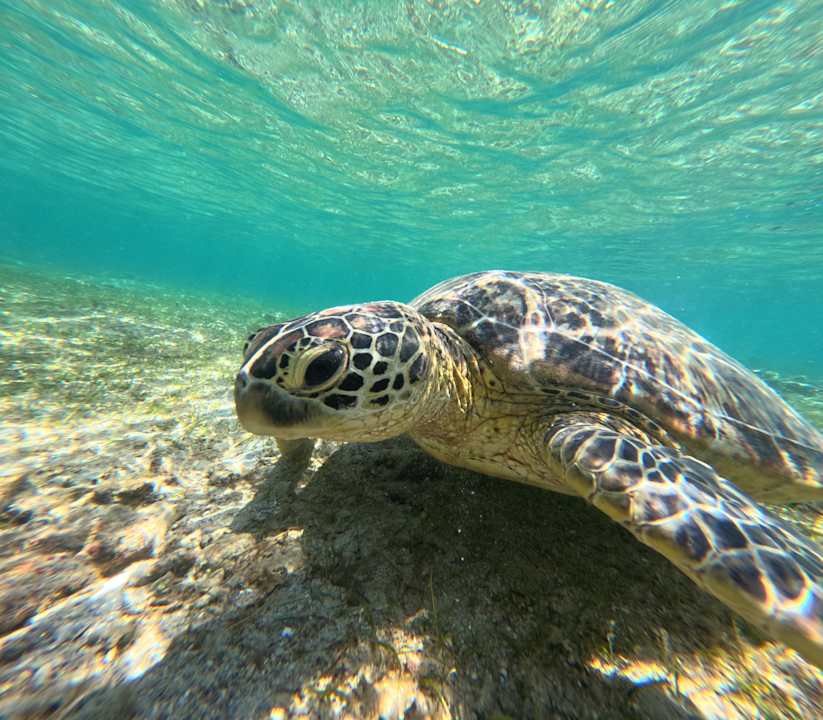 Sonstiges Jardin Maore