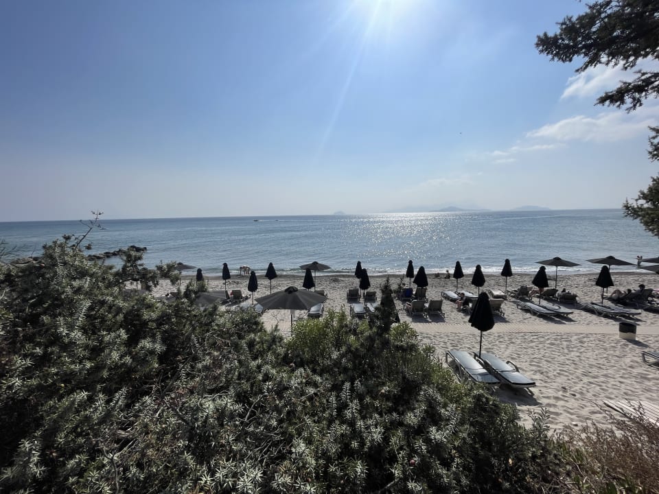 Strand Porto Bello Royal