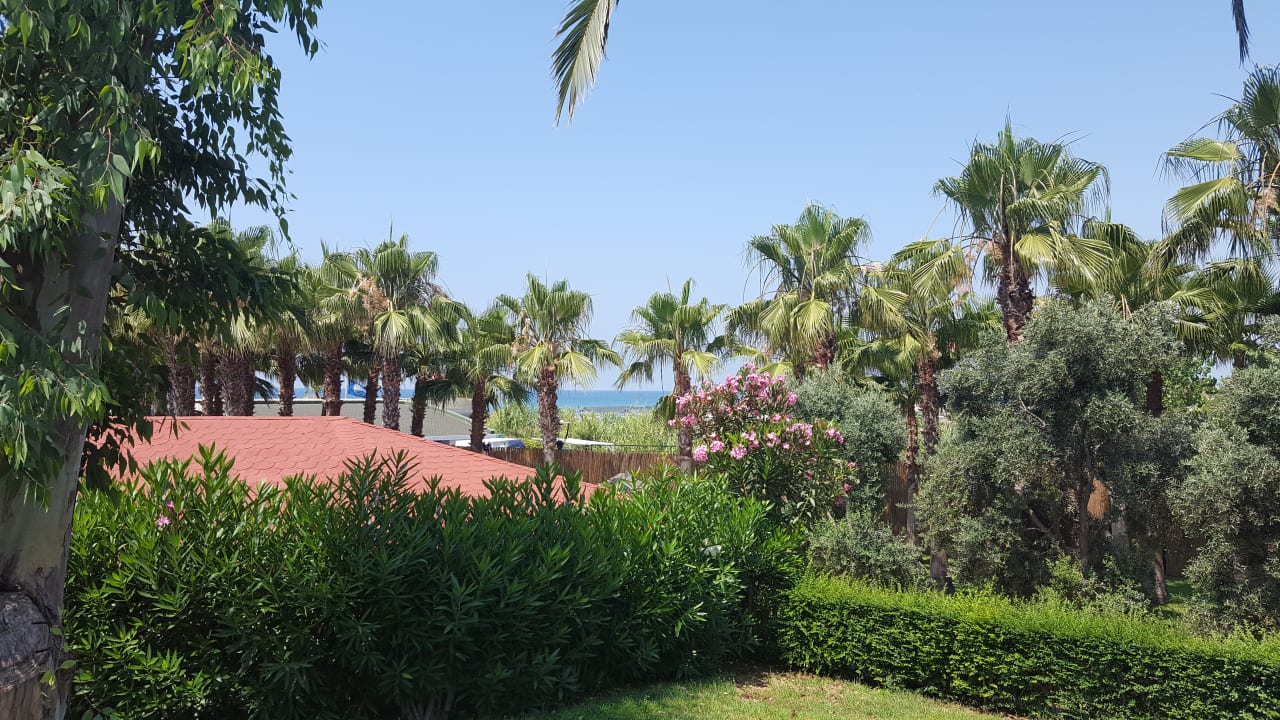 Gartenanlage Miramare Queen Hotel