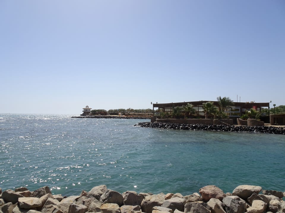 Ausblick Desert Rose