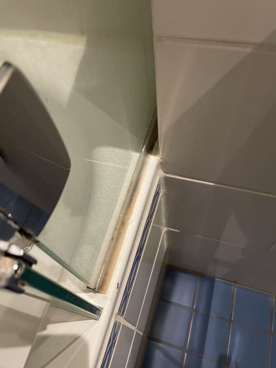 Zimmer Dorint Parkhotel Meissen