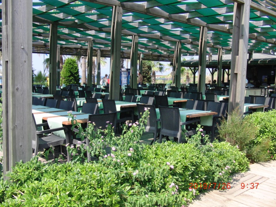 Gastro Royal Atlantis Beach Hotel