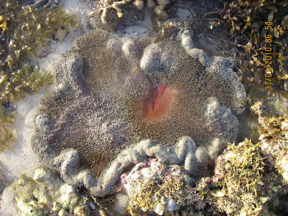 Riffleben vor dem Resort Love's Lodge & Resort