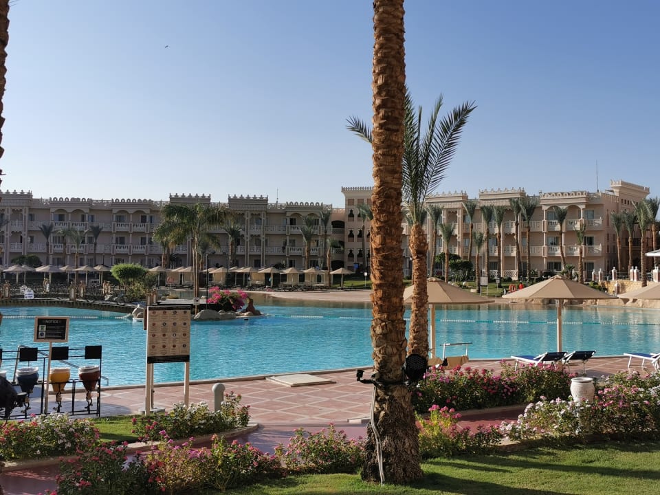 Pool Pickalbatros Palace Resort