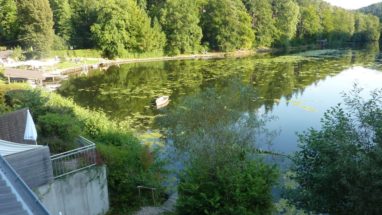 Ausblick von der Dachterrasse des Turmzimmers Seehaus Forelle Haeckenhaus Ramsen