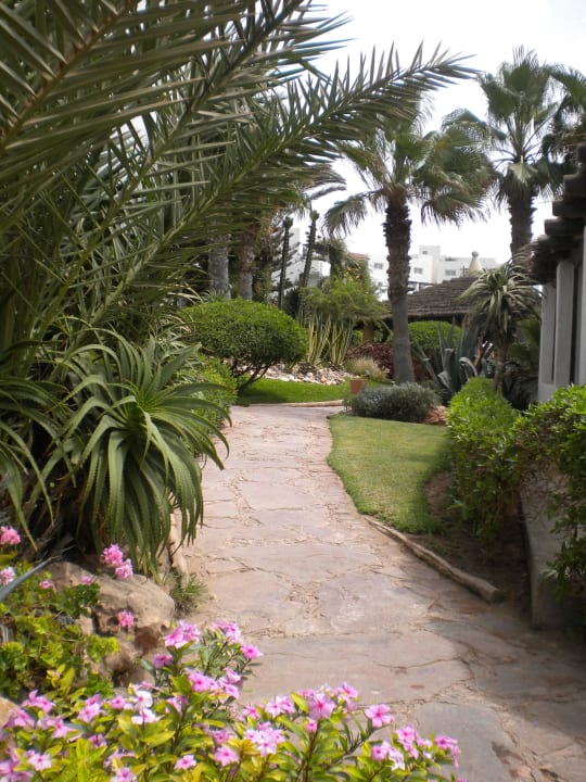 Garten TUI BLUE Riu Tikida Beach