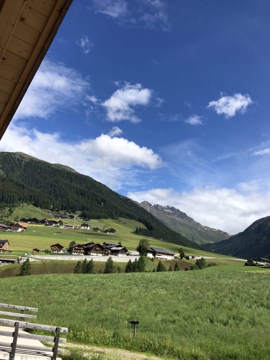 Ausblick Feldererhof - Urlaub am Bauernhof