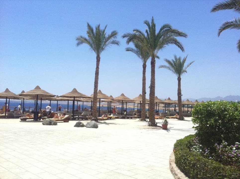 Sonnen liege Sharm Plaza