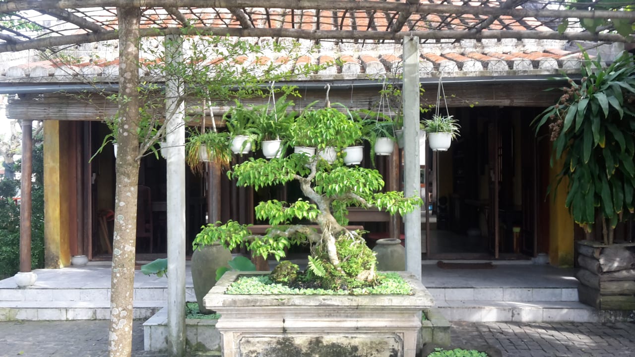 Gartenanlage Hoi An Lemongrass Homestay