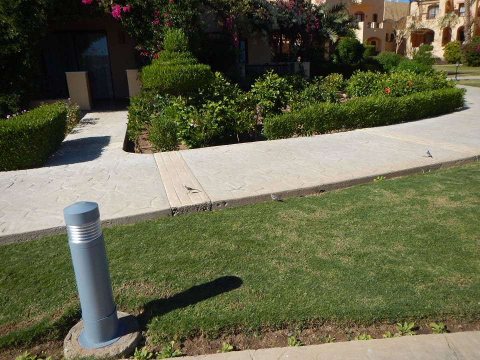 Behindertengerechte Wege Steigenberger Coraya Beach - Adults only