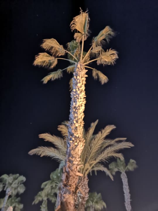 Außenansicht Kamelya Aishen Club