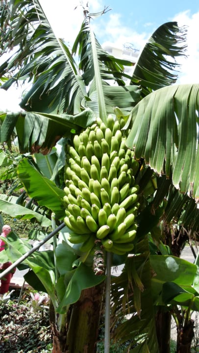 Außenansicht Hotel Porto Mare - PortoBay