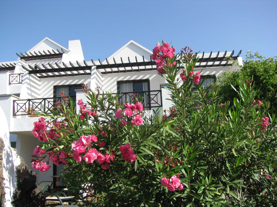 Bungalows Hotel Albatros allsun App.-Hotel Albatros