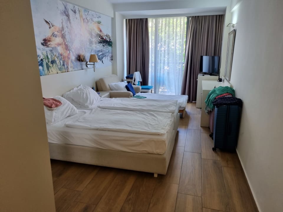 Zimmer Iberostar Waves Bellevue