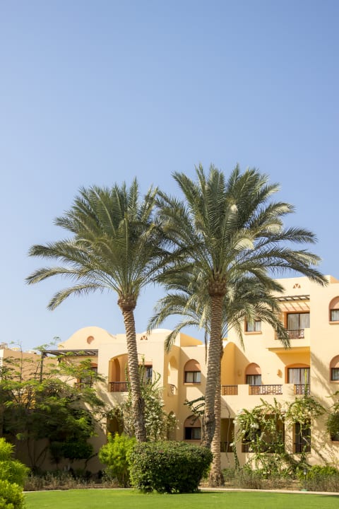 Außenansicht Steigenberger Coraya Beach - Adults only