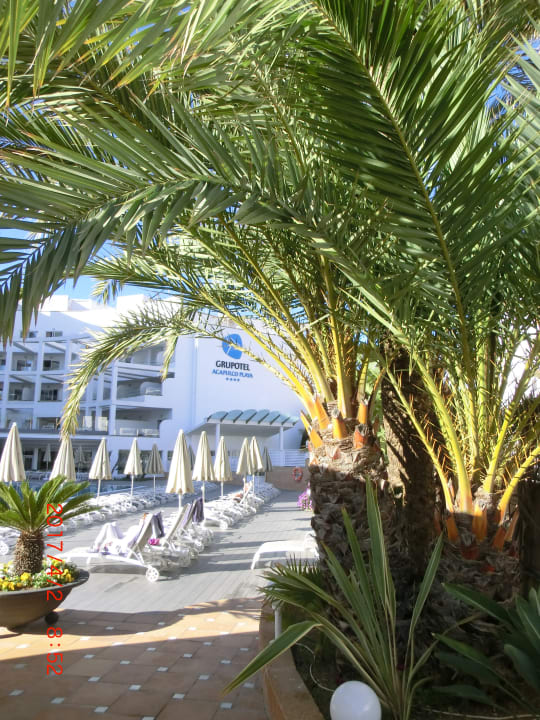 Gartenanlage Grupotel Acapulco Playa - Adults only