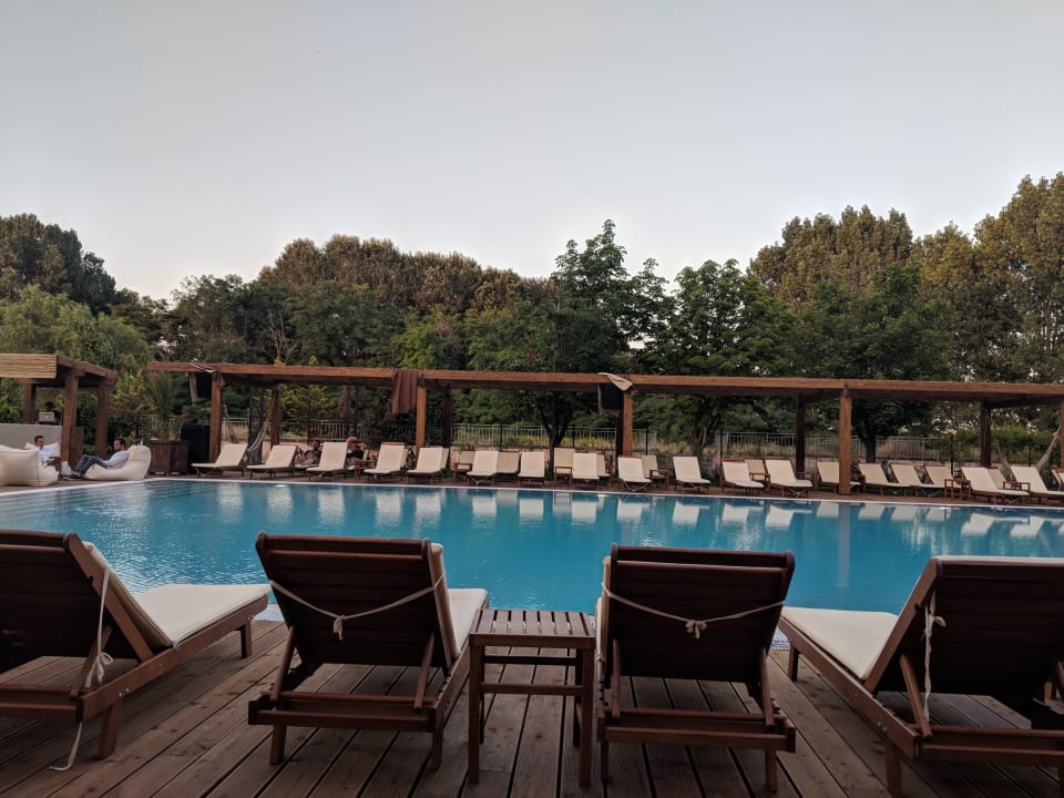 Pool Cook's Club Sunny Beach