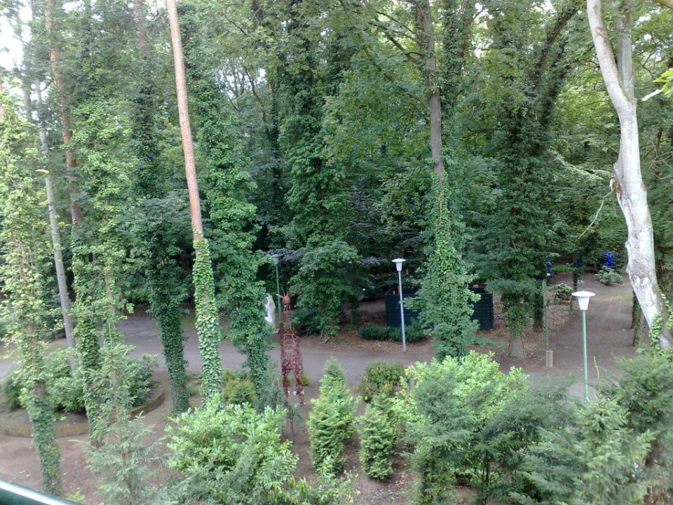 Ausblick in den Skulpturenpark Waldhotel Tannenhäuschen